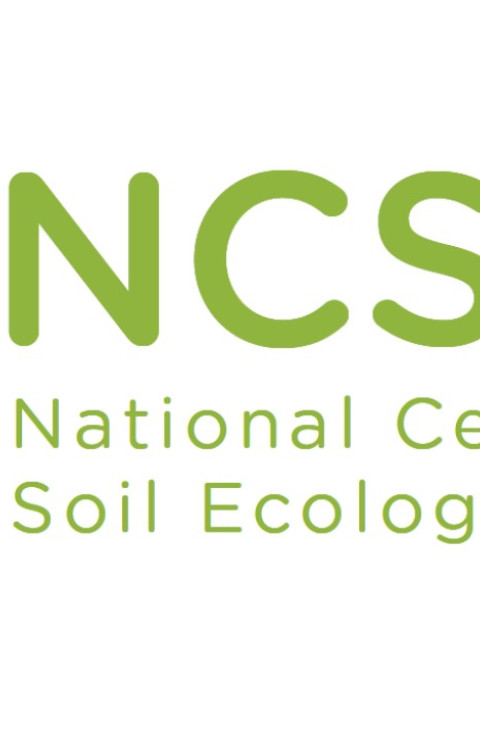 Logo NCSE